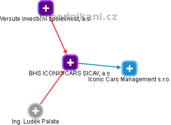 BHS ICONIC CARS SICAV, a.s. - obrázek vizuálního zobrazení vztahů obchodního rejstříku