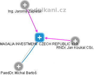 MAGALIA INVESTMENT CZECH REPUBLIC s.r.o. - obrázek vizuálního zobrazení vztahů obchodního rejstříku