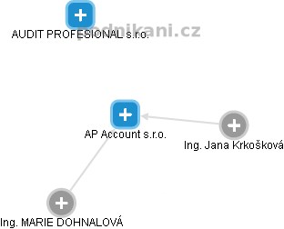 AP Account s.r.o. - obrázek vizuálního zobrazení vztahů obchodního rejstříku