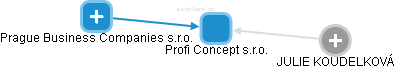 Profi Concept s.r.o. - obrázek vizuálního zobrazení vztahů obchodního rejstříku