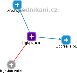 Ligapa, a.s. - obrázek vizuálního zobrazení vztahů obchodního rejstříku