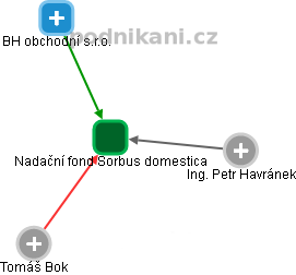 Nadační fond Sorbus domestica - obrázek vizuálního zobrazení vztahů obchodního rejstříku