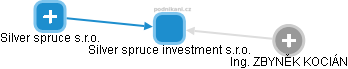 Silver spruce investment s.r.o. - obrázek vizuálního zobrazení vztahů obchodního rejstříku