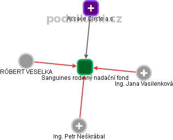 Sanguines rodinný nadační fond - obrázek vizuálního zobrazení vztahů obchodního rejstříku
