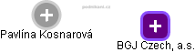 BGJ Czech, a.s. - obrázek vizuálního zobrazení vztahů obchodního rejstříku