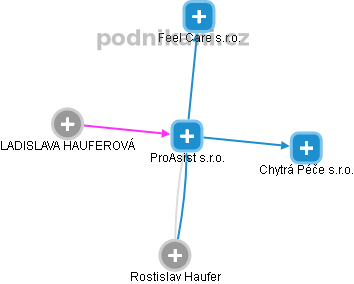 ProAsist s.r.o. - obrázek vizuálního zobrazení vztahů obchodního rejstříku