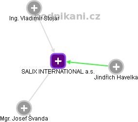 SALIX INTERNATIONAL a.s. - obrázek vizuálního zobrazení vztahů obchodního rejstříku