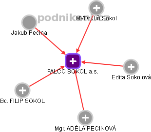 FALCO SOKOL a.s. - obrázek vizuálního zobrazení vztahů obchodního rejstříku