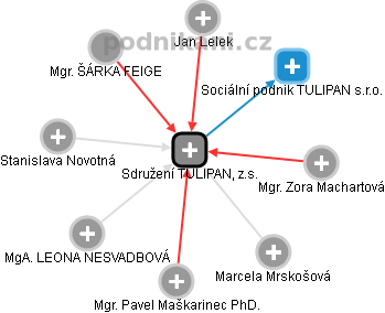 Sdružení TULIPAN, z.s. - obrázek vizuálního zobrazení vztahů obchodního rejstříku