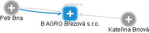 B AGRO Březová s.r.o. - obrázek vizuálního zobrazení vztahů obchodního rejstříku