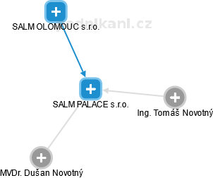 SALM PALACE s.r.o. - obrázek vizuálního zobrazení vztahů obchodního rejstříku