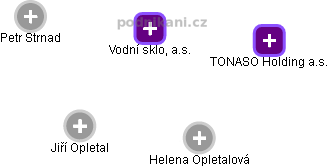 Vodní sklo, a.s. - obrázek vizuálního zobrazení vztahů obchodního rejstříku