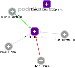Direct Fidoo a.s. - obrázek vizuálního zobrazení vztahů obchodního rejstříku