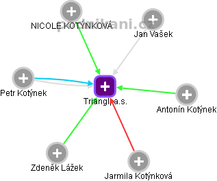 Triangl, a.s. - obrázek vizuálního zobrazení vztahů obchodního rejstříku