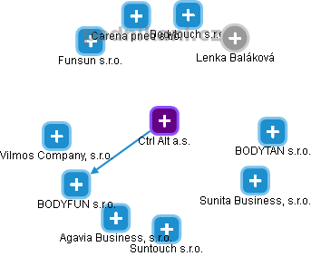 Ctrl Alt a.s. - obrázek vizuálního zobrazení vztahů obchodního rejstříku