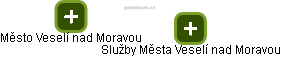 Služby Města Veselí nad Moravou - obrázek vizuálního zobrazení vztahů obchodního rejstříku