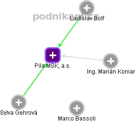 Pila MSK, a.s. - obrázek vizuálního zobrazení vztahů obchodního rejstříku