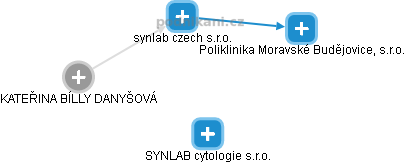 synlab czech s.r.o. - obrázek vizuálního zobrazení vztahů obchodního rejstříku