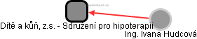 Dítě a kůň, z.s. - Sdružení pro hipoterapii - obrázek vizuálního zobrazení vztahů obchodního rejstříku